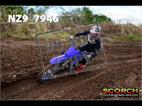 Experts-295