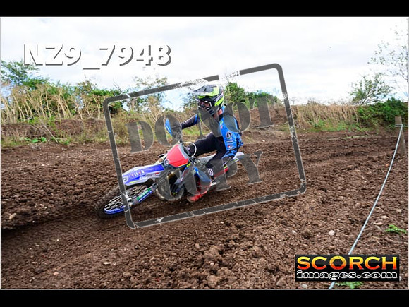 Experts-297