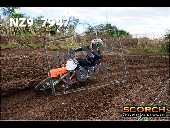 Experts-296
