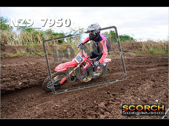 Experts-298