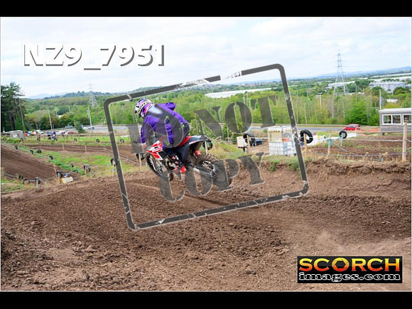 Experts-299