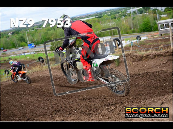 Experts-301