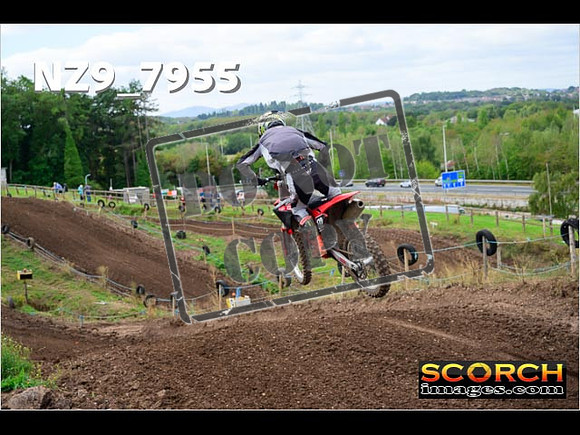 Experts-303