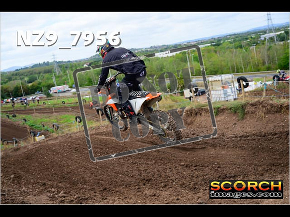 Experts-304