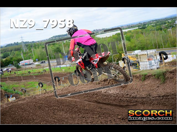 Experts-306