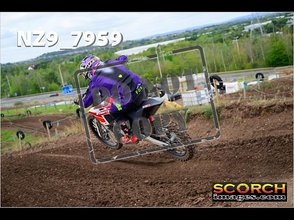 Experts-307