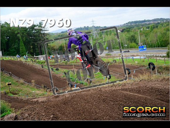 Experts-308