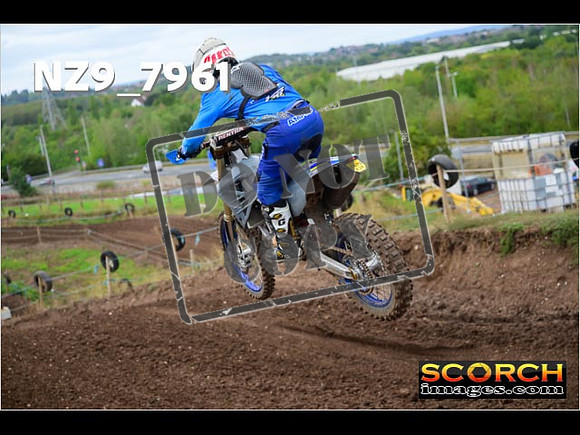 Experts-309