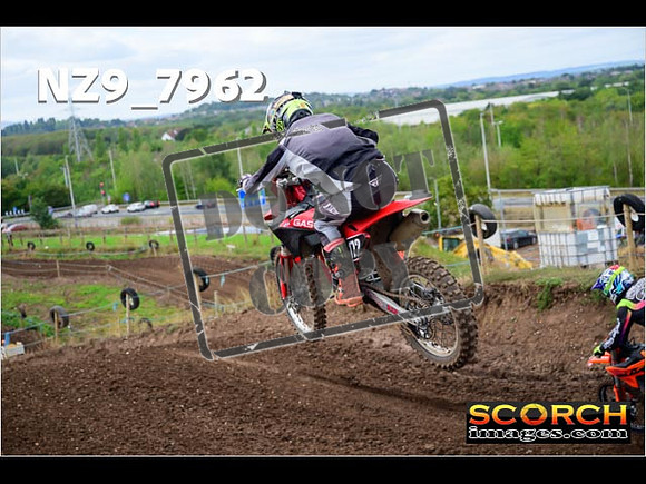Experts-310