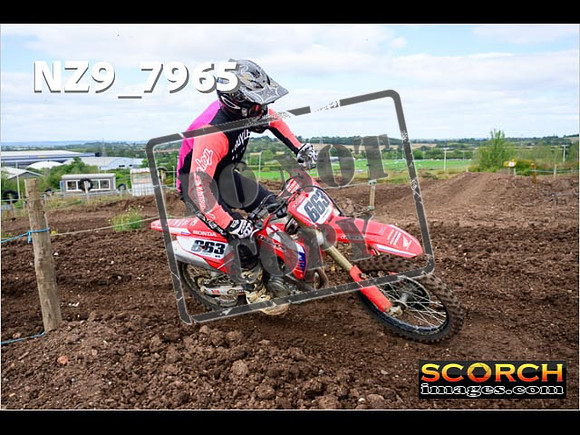Experts-313