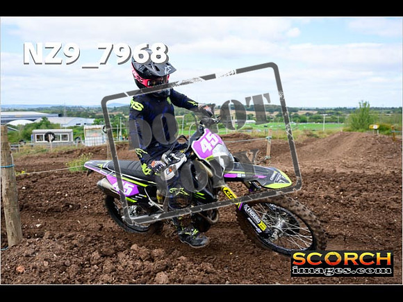 Experts-316