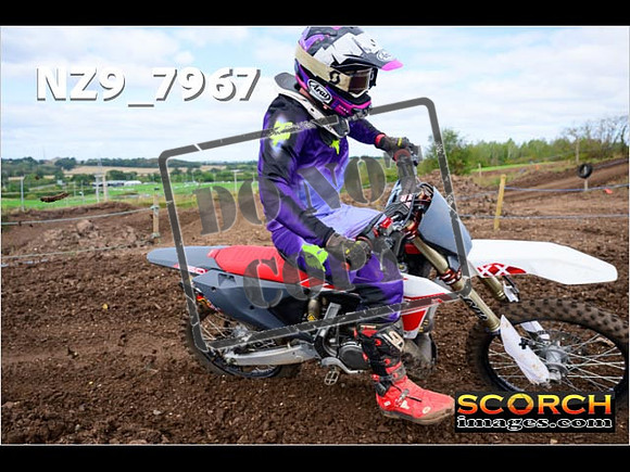 Experts-315