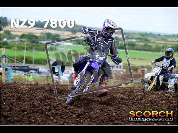 Inters-245