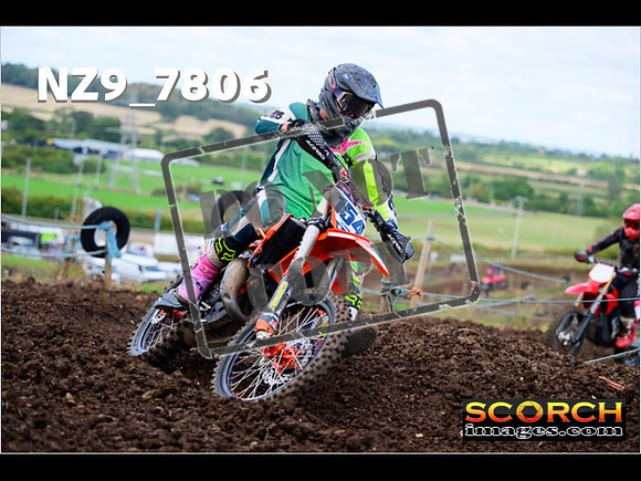 Inters-250