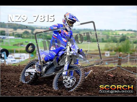 Inters-259