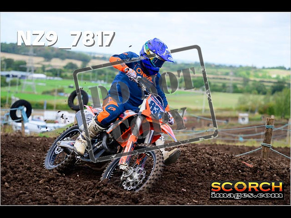 Inters-261
