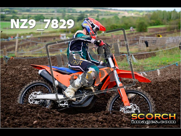 Inters-273