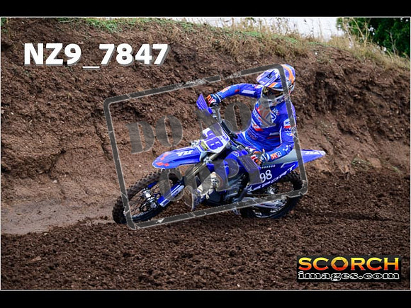 Inters-291