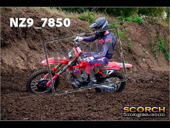 Inters-294