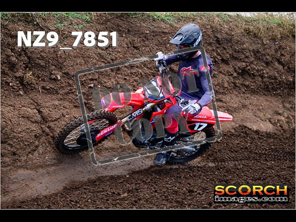 Inters-295