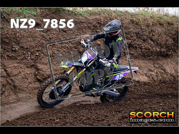 Inters-300