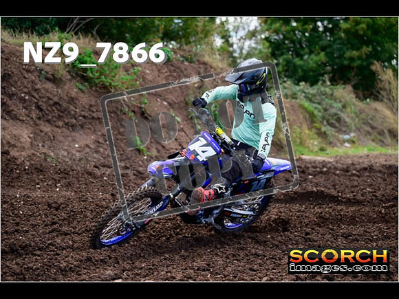 Inters-310