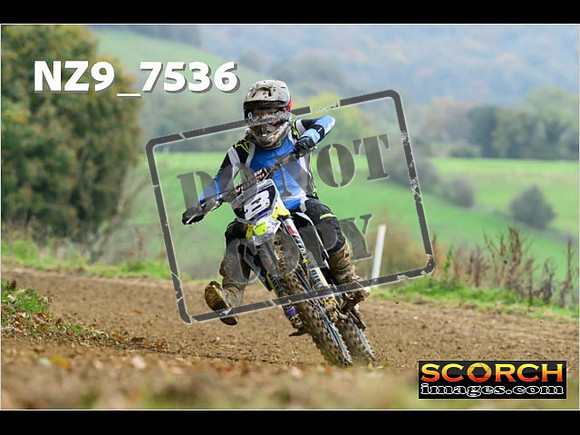 Experts-079