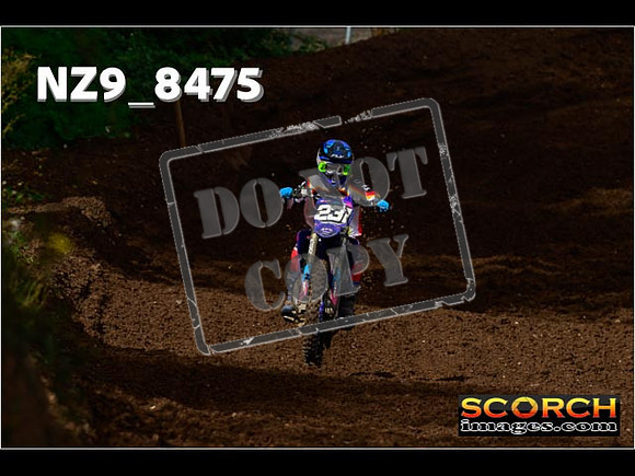 Experts-081