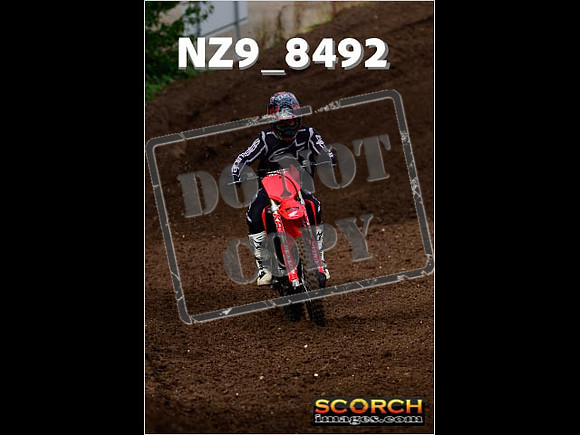 Experts-098
