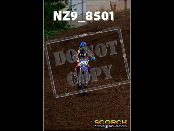 Experts-107