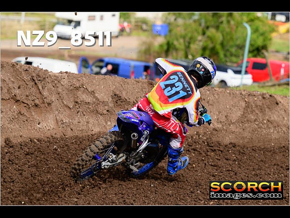 Experts-117