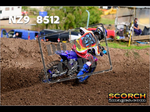 Experts-118