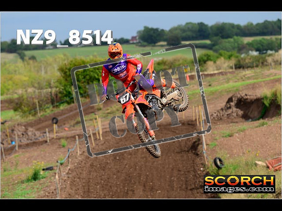 Experts-120