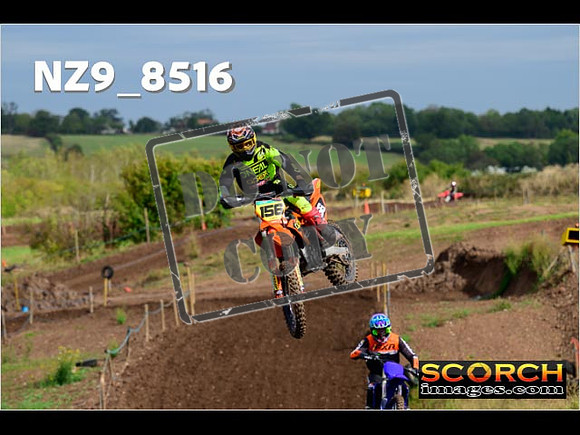 Experts-122