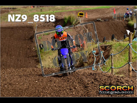 Experts-124