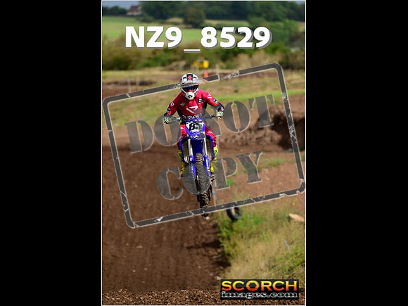 Experts-134