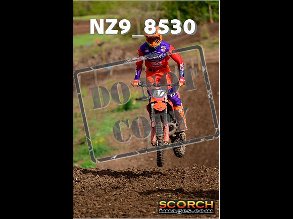Experts-135