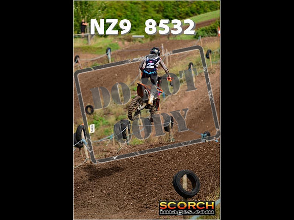 Experts-137