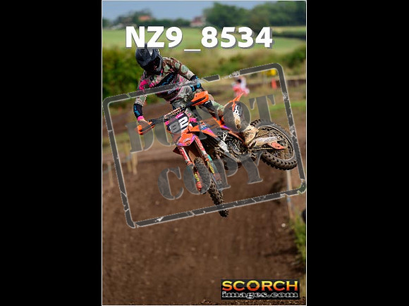 Experts-139