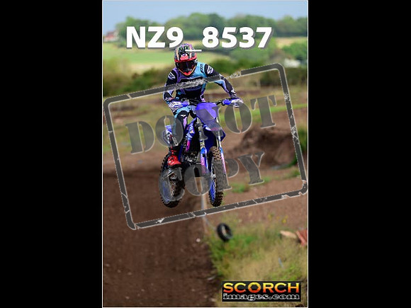 Experts-142