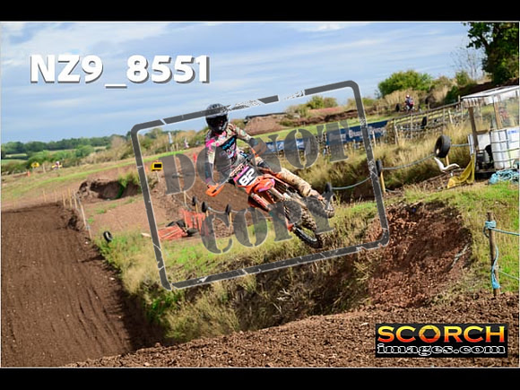 Experts-154