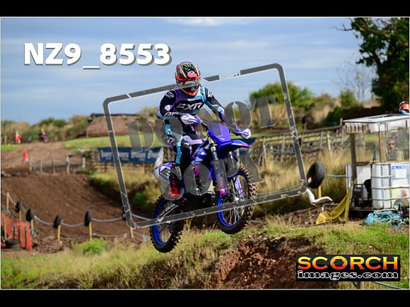 Experts-156