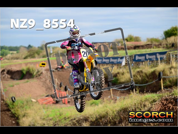 Experts-157