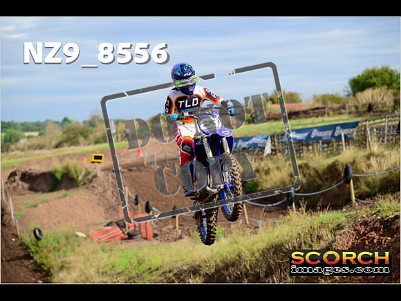 Experts-159