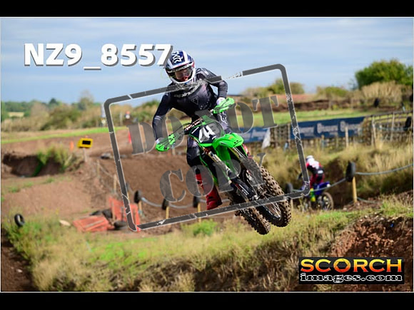 Experts-160