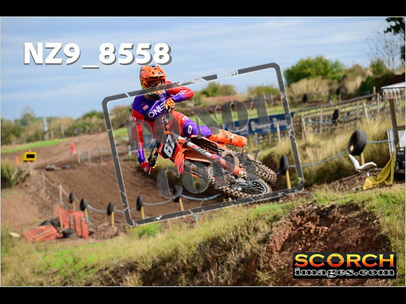Experts-161