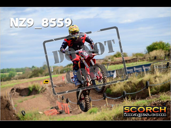 Experts-162