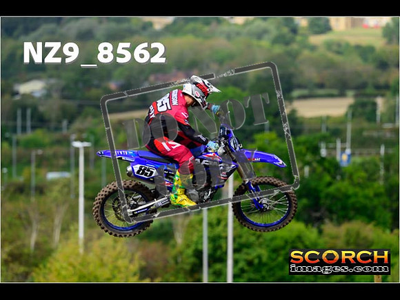 Experts-165