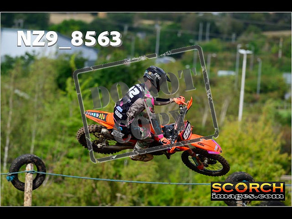 Experts-166