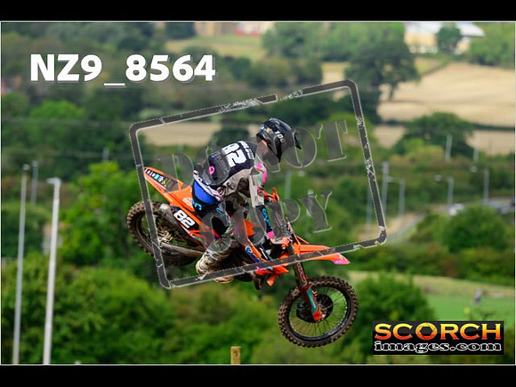 Experts-167